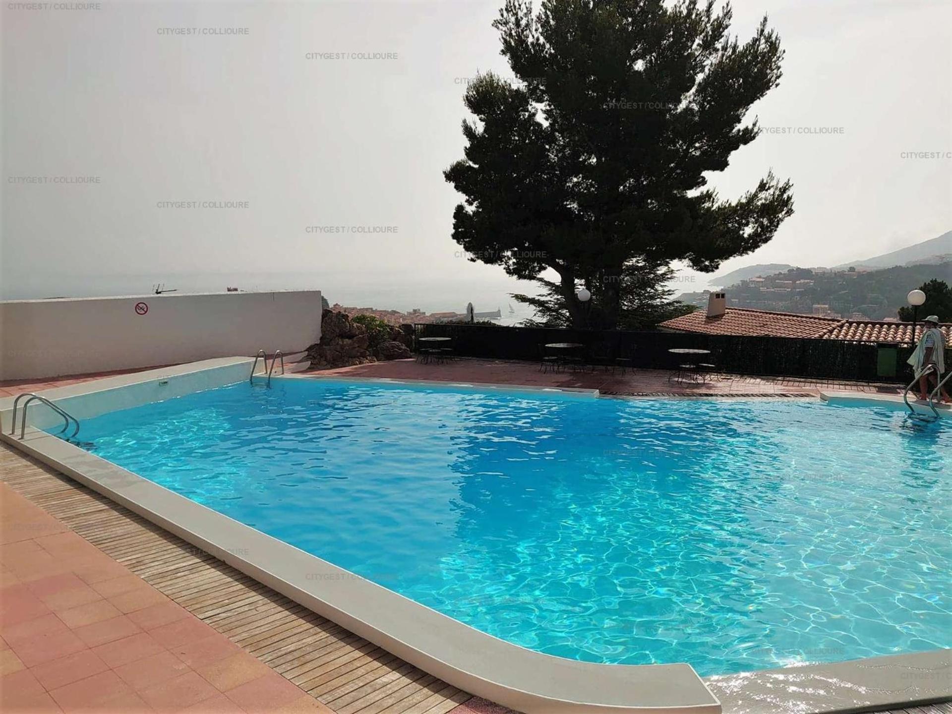 6Amb38 Villa Avec Terrasse Dans Residence Avec Piscine Commune كولِيورْ المظهر الخارجي الصورة
