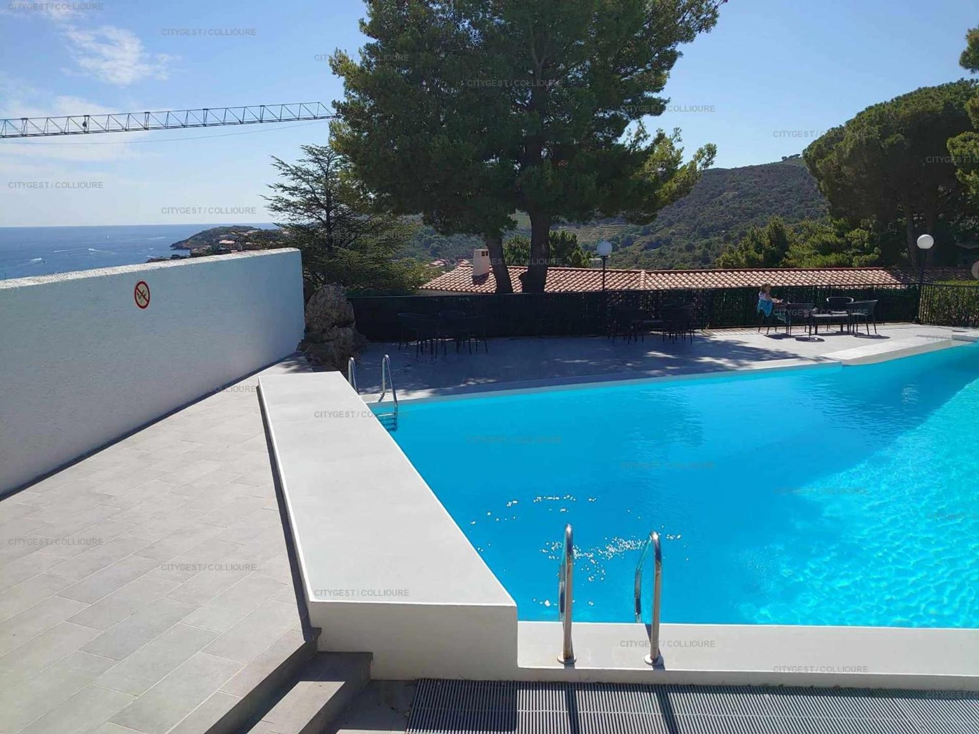 6Amb38 Villa Avec Terrasse Dans Residence Avec Piscine Commune كولِيورْ المظهر الخارجي الصورة
